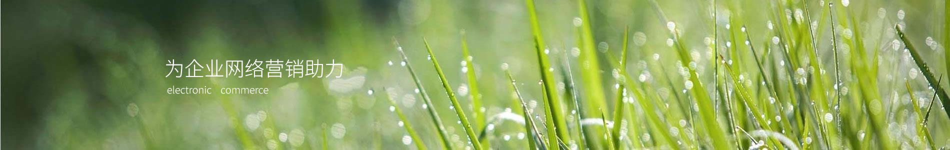 ɶһŵ¿Ƽ޹˾